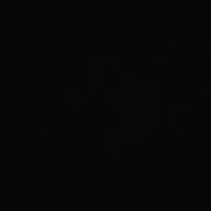 Meet your Posher, Dolores